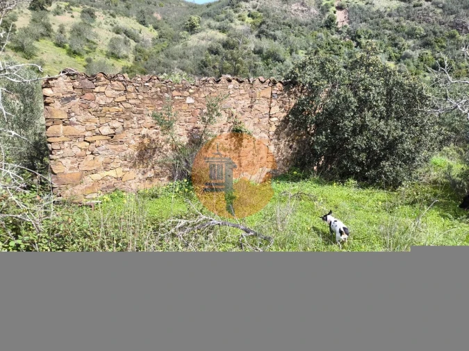 Terreno para Venda em Santa Catarina da Fonte do Bispo Foto 53