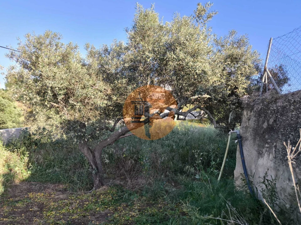 Terreno para Venda em Odeleite Foto 15