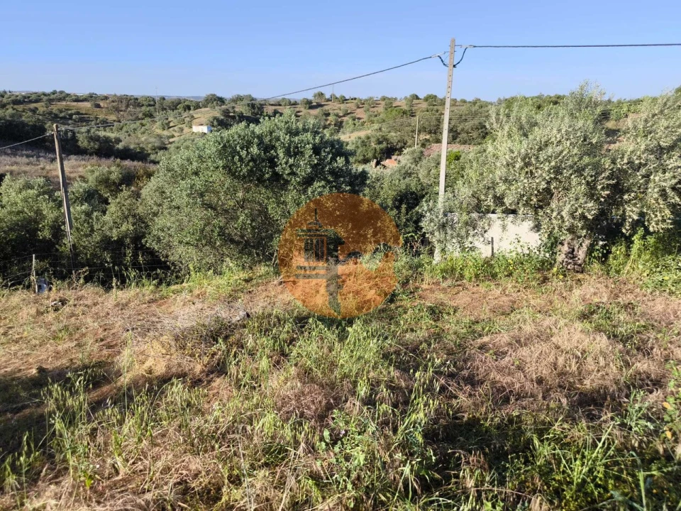 Terreno para Venda em Odeleite Foto 19