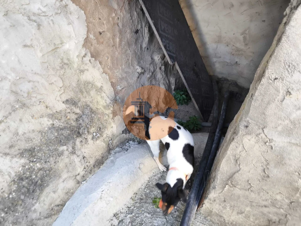 Terreno para Venda em Odeleite Foto 21