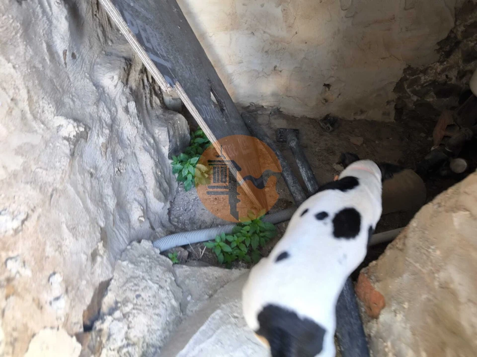 Terreno para Venda em Odeleite Foto 22