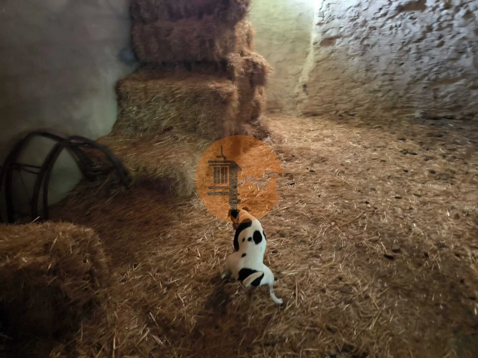 Terreno para Venda em Odeleite Foto 28