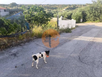 Terreno para Venda em Odeleite