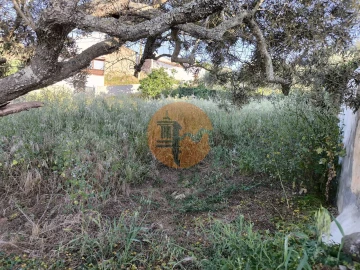 Terreno para Venda em Odeleite