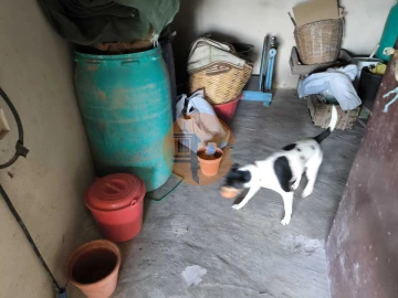 Terreno para Venda em Odeleite