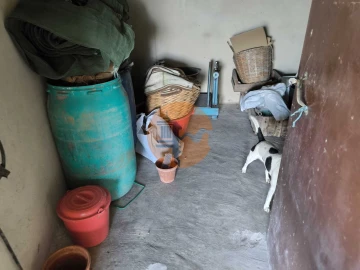 Terreno para Venda em Odeleite