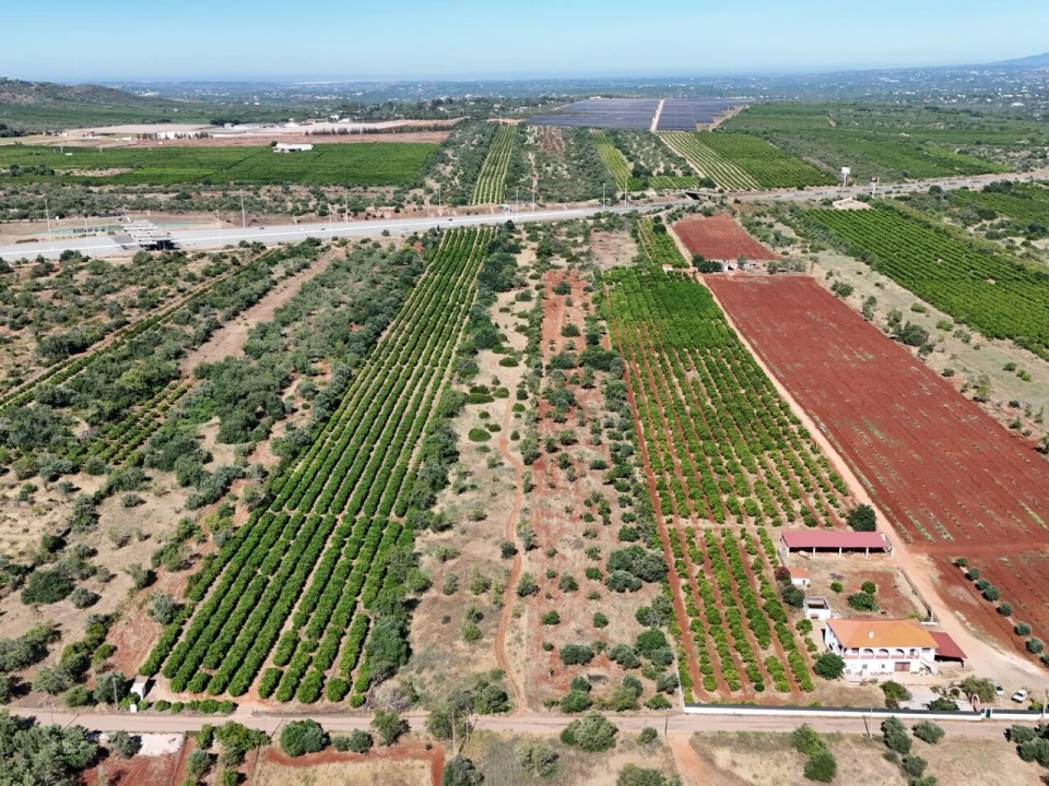Terreno para Venda em Paderne Foto 13