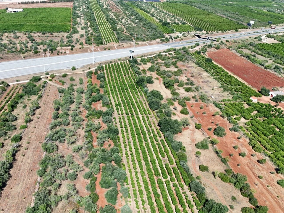 Terreno para Venda em Paderne Foto 17