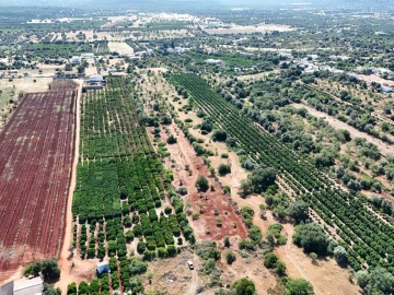 Terreno para Venda em Paderne