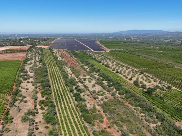Terreno para Venda em Paderne