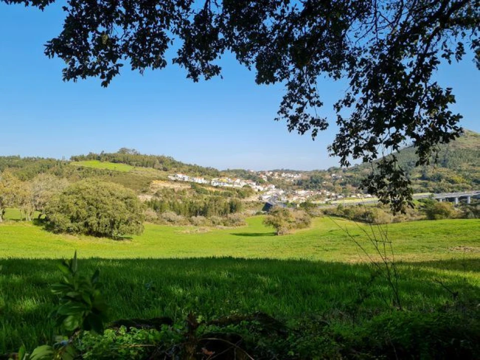 Terreno Misto para Venda em Lousa Foto 2