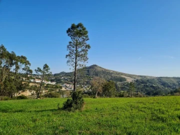 Terreno Misto para Venda em Lousa