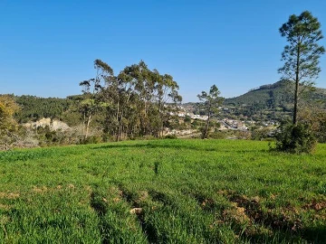Terreno Misto para Venda em Lousa