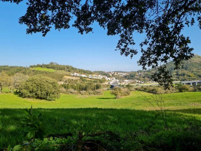 Terreno Misto para Venda em Lousa Foto 2