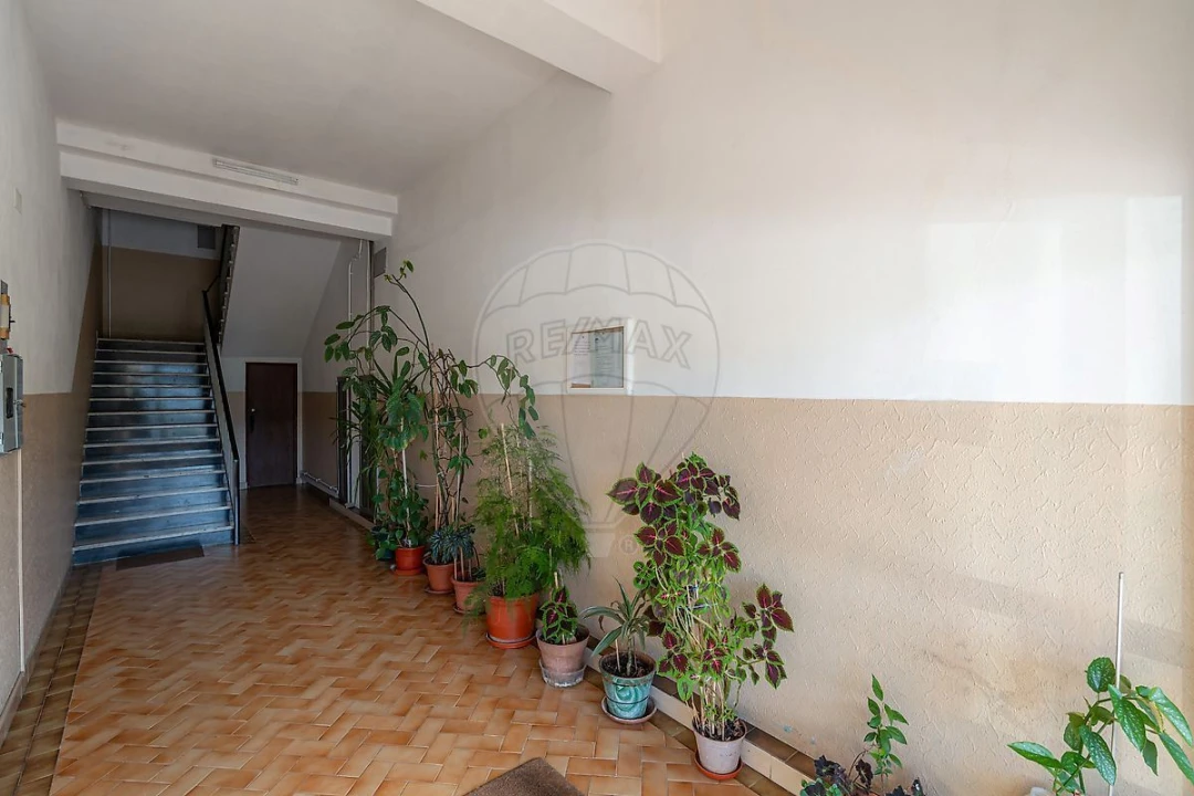 Apartamento T3 para Venda em Assafarge e Antanhol Foto 3