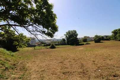 Terreno P/ Prédio para Venda em Oliveira do Douro