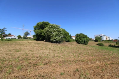 Terreno P/ Prédio para Venda em Oliveira do Douro