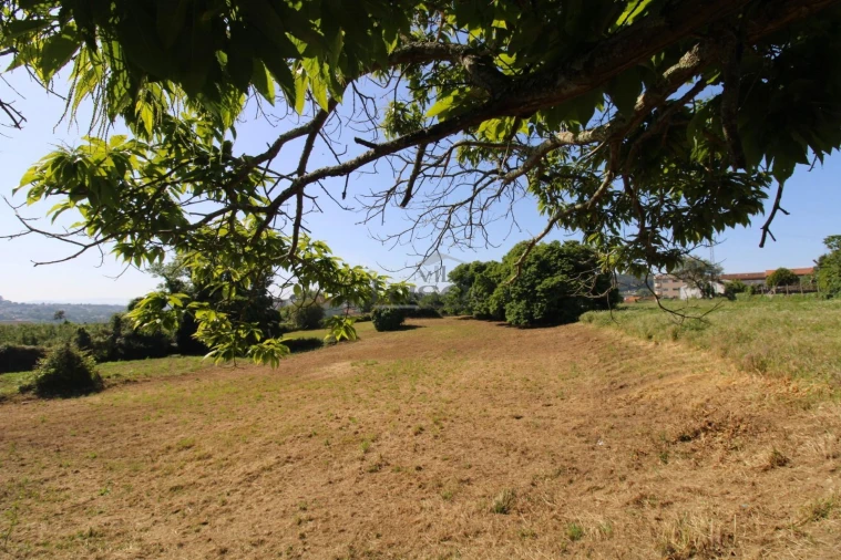 Terreno P/ Prédio para Venda em Oliveira do Douro Foto 2