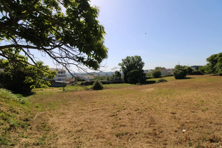 Terreno P/ Prédio para Venda em Oliveira do Douro Foto 4