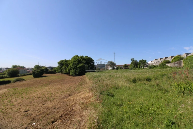 Terreno P/ Prédio para Venda em Oliveira do Douro Foto 5