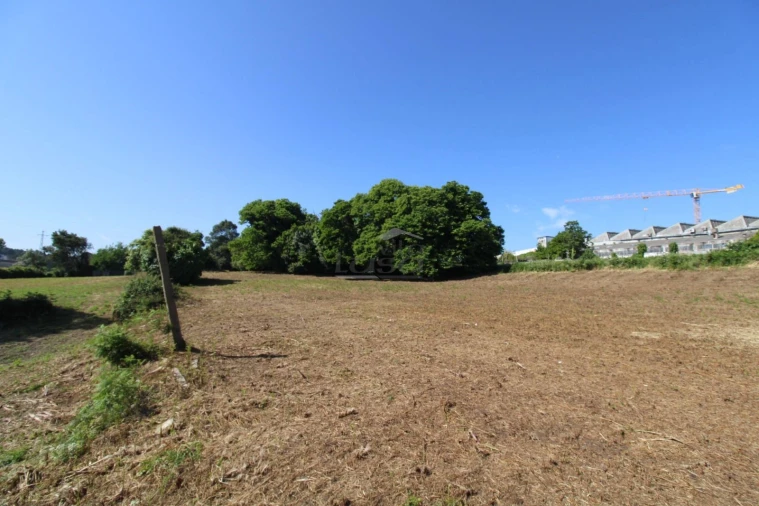 Terreno P/ Prédio para Venda em Oliveira do Douro Foto 15