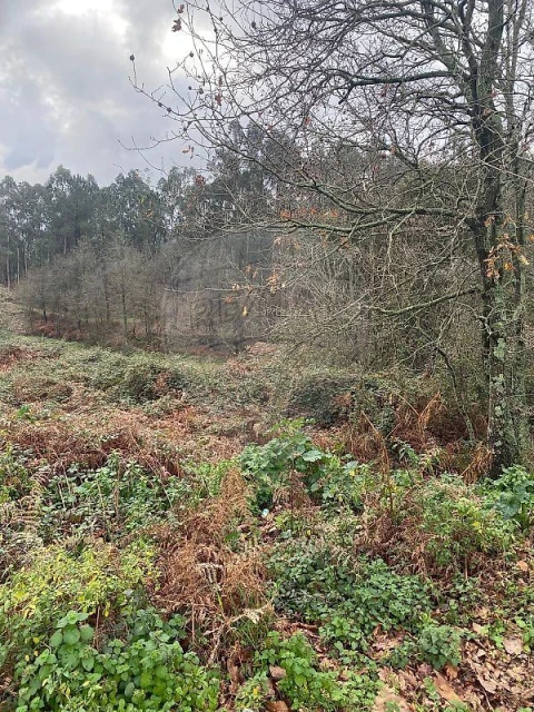 Terreno Agricola ou Rústico para Venda em Sandim, Olival, Lever e Crestuma