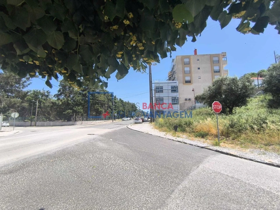 Terreno P/ Prédio para Venda em Minde Foto 2