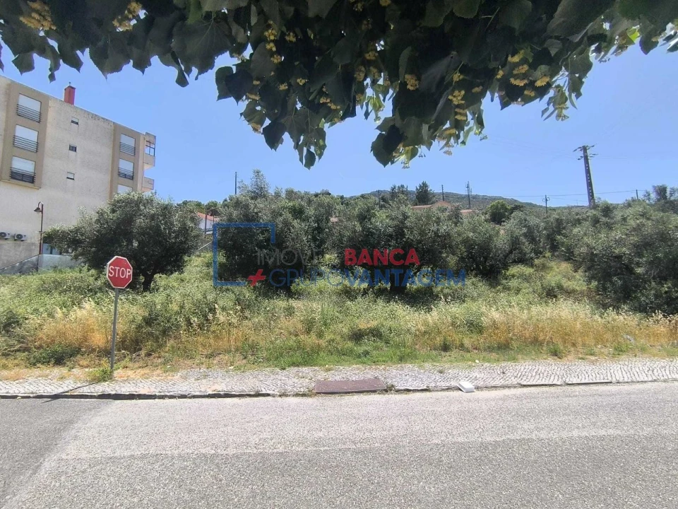 Terreno P/ Prédio para Venda em Minde Foto 3