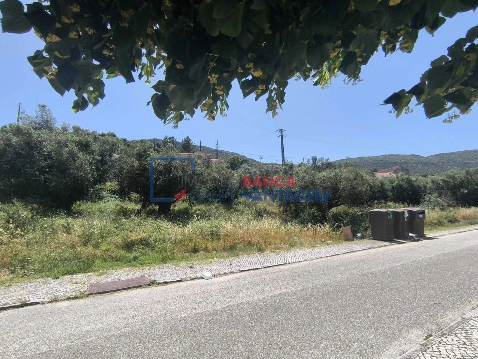 Terreno P/ Prédio para Venda em Minde Foto 4