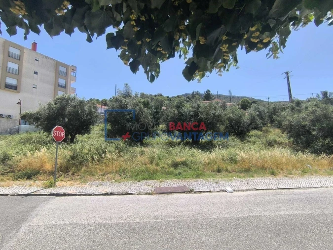 Terreno P/ Prédio para Venda em Minde Foto 3