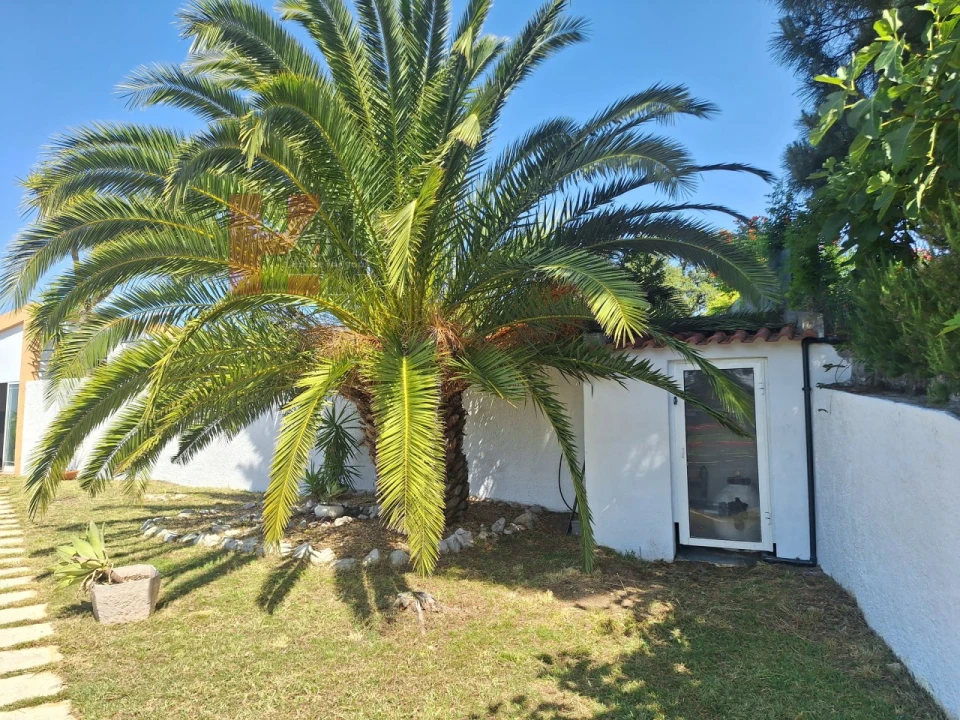 Moradia T4 para Venda em Gambia-Pontes-Alto da Guerra Foto 38