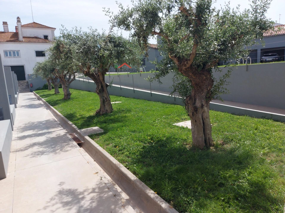 Apartamento T2 para Venda em Ferreira do Alentejo e Canhestros Foto 5