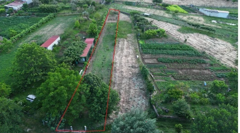 Terreno Agricola ou Rústico para Venda em Penalva de Alva e São Sebastião da Feira
