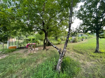 Terreno Agricola ou Rústico para Venda em Penalva de Alva e São Sebastião da Feira
