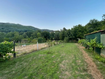 Terreno Agricola ou Rústico para Venda em Penalva de Alva e São Sebastião da Feira