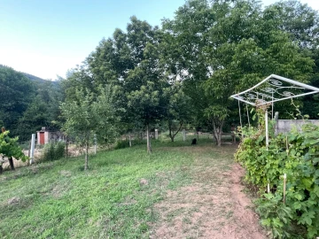 Terreno Agricola ou Rústico para Venda em Penalva de Alva e São Sebastião da Feira