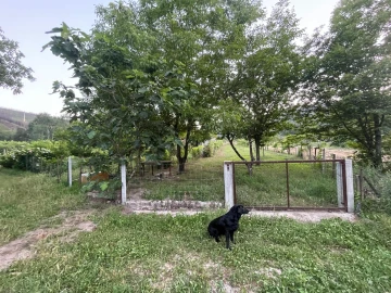 Terreno Agricola ou Rústico para Venda em Penalva de Alva e São Sebastião da Feira