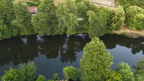 Terreno Agricola ou Rústico para Venda em Penalva de Alva e São Sebastião da Feira