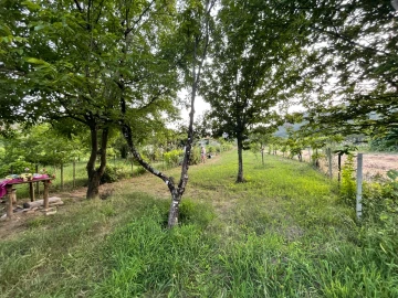 Terreno Agricola ou Rústico para Venda em Penalva de Alva e São Sebastião da Feira