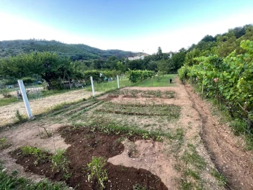 Terreno Agricola ou Rústico para Venda em Penalva de Alva e São Sebastião da Feira