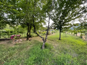 Terreno Agricola ou Rústico para Venda em Penalva de Alva e São Sebastião da Feira