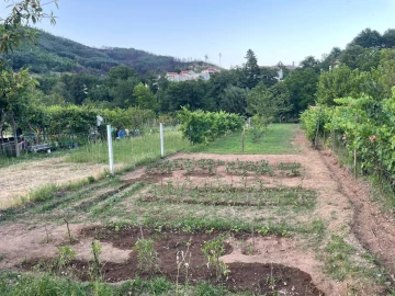 Terreno Agricola ou Rústico para Venda em Penalva de Alva e São Sebastião da Feira