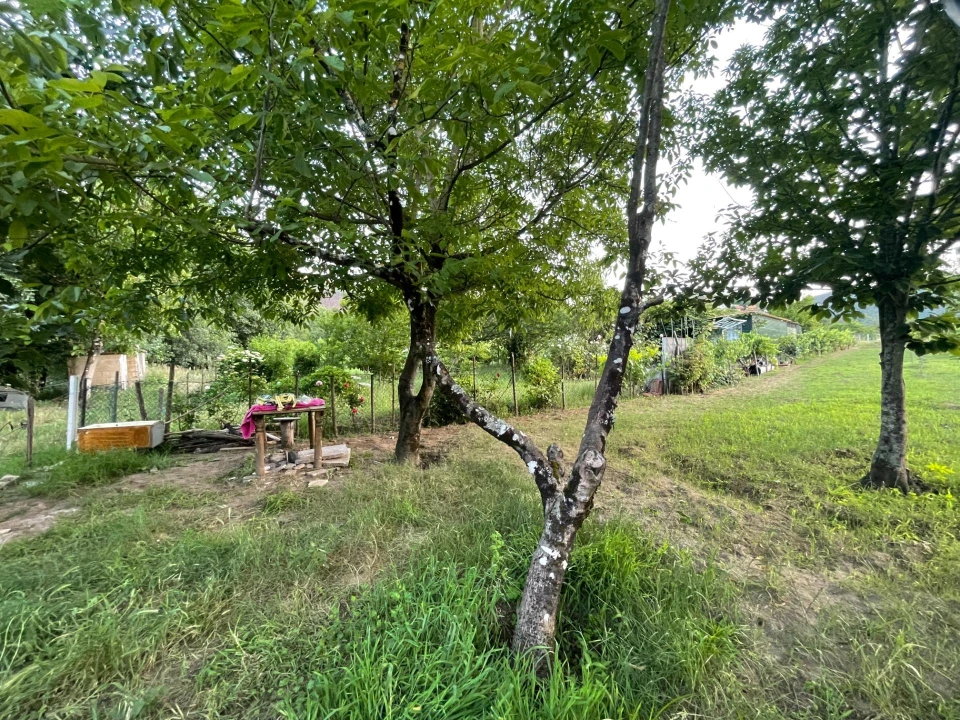 Terreno Agricola ou Rústico para Venda em Penalva de Alva e São Sebastião da Feira Foto 10