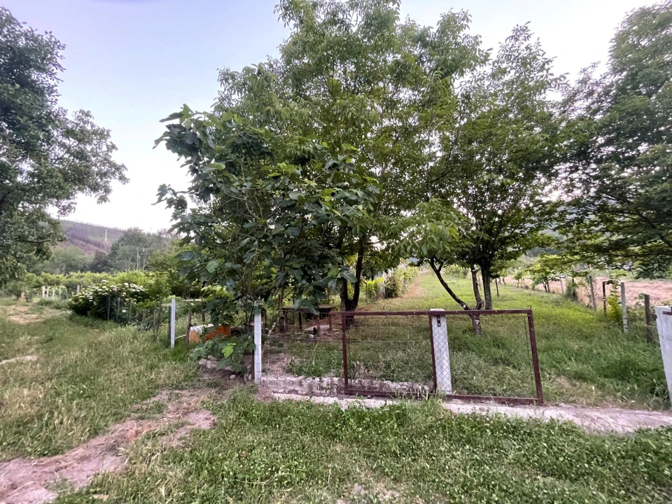 Terreno Agricola ou Rústico para Venda em Penalva de Alva e São Sebastião da Feira Foto 5