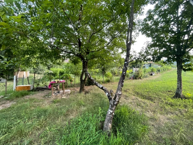 Terreno Agricola ou Rústico para Venda em Penalva de Alva e São Sebastião da Feira Foto 10
