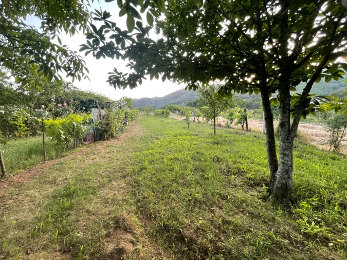 Terreno Agricola ou Rústico para Venda em Penalva de Alva e São Sebastião da Feira Foto 11
