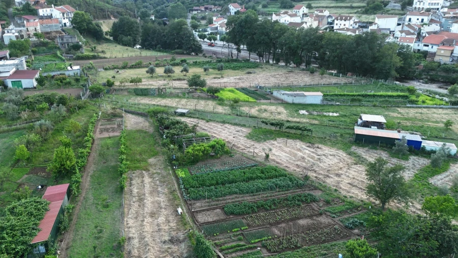 Terreno Agricola ou Rústico para Venda em Penalva de Alva e São Sebastião da Feira Foto 22