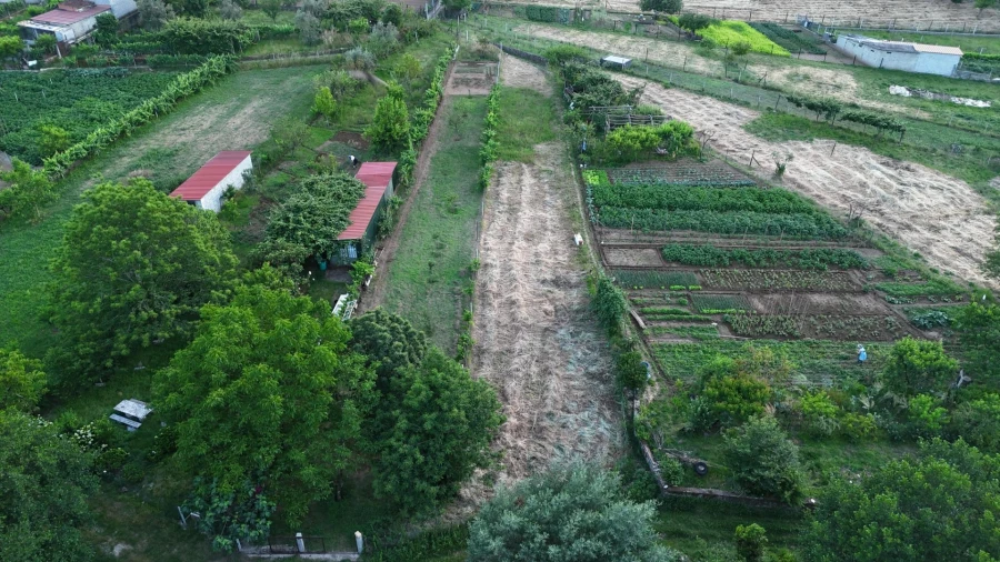 Terreno Agricola ou Rústico para Venda em Penalva de Alva e São Sebastião da Feira Foto 23