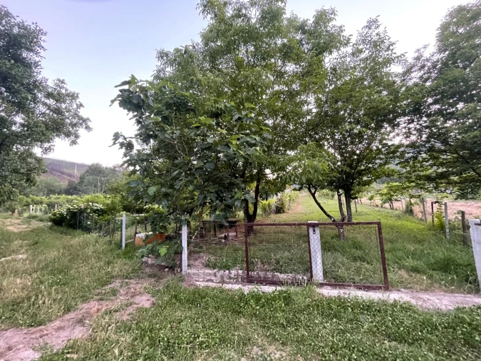 Terreno Agricola ou Rústico para Venda em Penalva de Alva e São Sebastião da Feira Foto 5