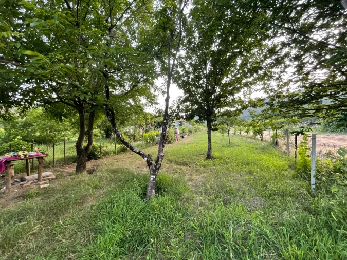 Terreno Agricola ou Rústico para Venda em Penalva de Alva e São Sebastião da Feira Foto 6